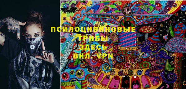 PSILOCYBIN Кемь