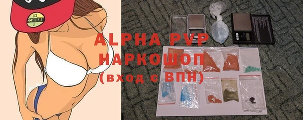 гашик Пестово